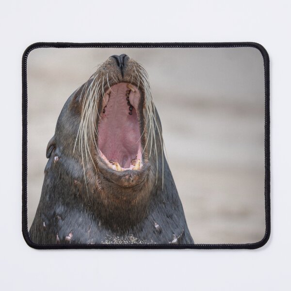 Item preview, Roaring Sea Lion Portrait – Wild Galapagos Wildlife Photography, Funny Animal Art designed and sold by WildFrameNature.