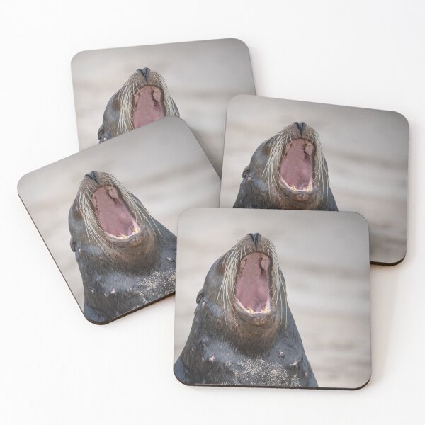 Item preview, Roaring Sea Lion Portrait – Wild Galapagos Wildlife Photography, Funny Animal Art designed and sold by WildFrameNature.
