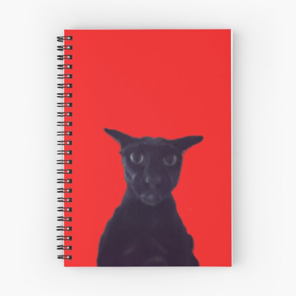 Item preview, Larry the Cat designed and sold by Chonk Borris.