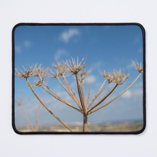 Item preview, Dried Wildflower Seed Head Against Clear Blue Sky Over Coastal Landscape With Soft Bokeh designed and sold by Nmallia.