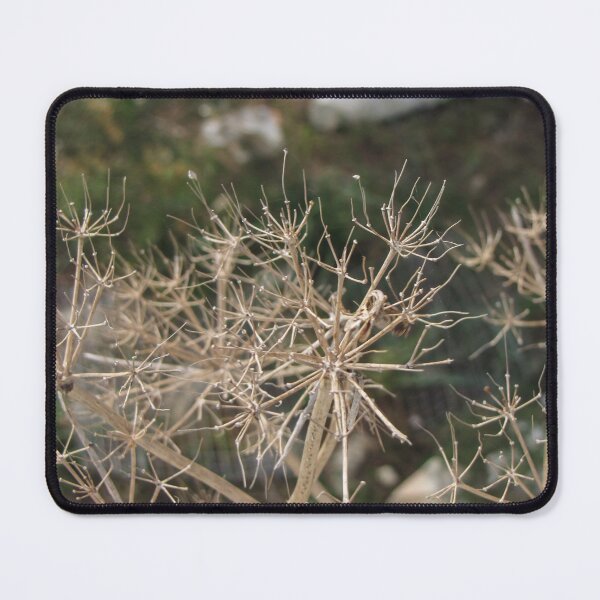 Item preview, Dried Allium Seed Heads in Garden Close-Up — Brown Botanical Seedhead Texture and Structure designed and sold by Nmallia.
