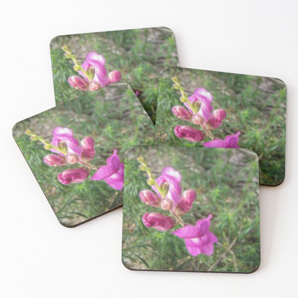 Item preview, Pink Wildflower Close-Up With Buds and Green Blurred Background designed and sold by Nmallia.