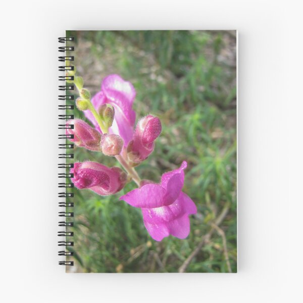 Item preview, Pink Wildflower Close-Up With Buds and Green Blurred Background designed and sold by Nmallia.
