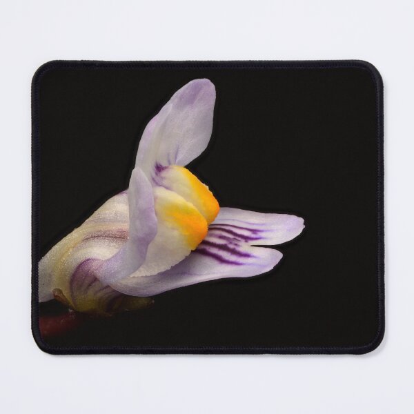 Item preview, Cymbalaria Muralis Yellow Center Macro designed and sold by Goiko7Margarita.