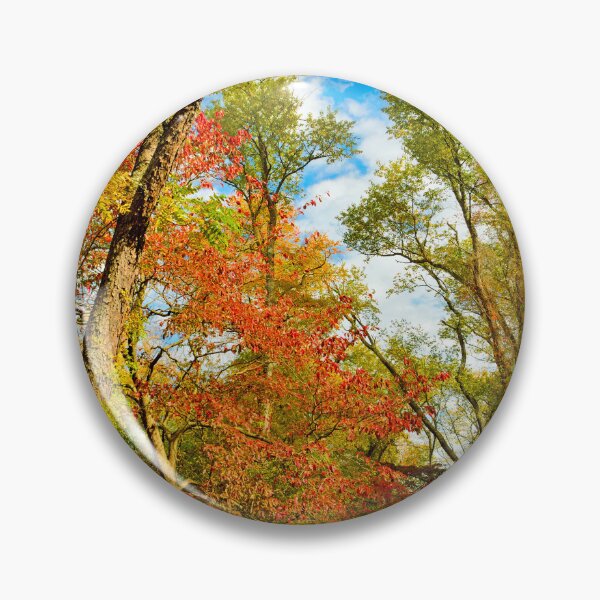 Item preview, Autumn Afternoon, Southeastern Pennsylvania designed and sold by AMacGPhilly.