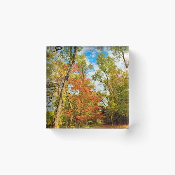 Item preview, Autumn Afternoon, Southeastern Pennsylvania designed and sold by AMacGPhilly.