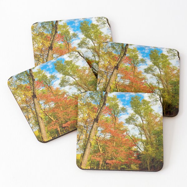 Item preview, Autumn Afternoon, Southeastern Pennsylvania designed and sold by AMacGPhilly.