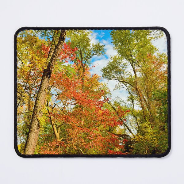 Item preview, Autumn Afternoon, Southeastern Pennsylvania designed and sold by AMacGPhilly.