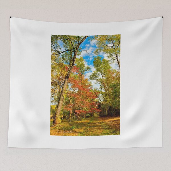 Item preview, Autumn Afternoon, Southeastern Pennsylvania designed and sold by AMacGPhilly.