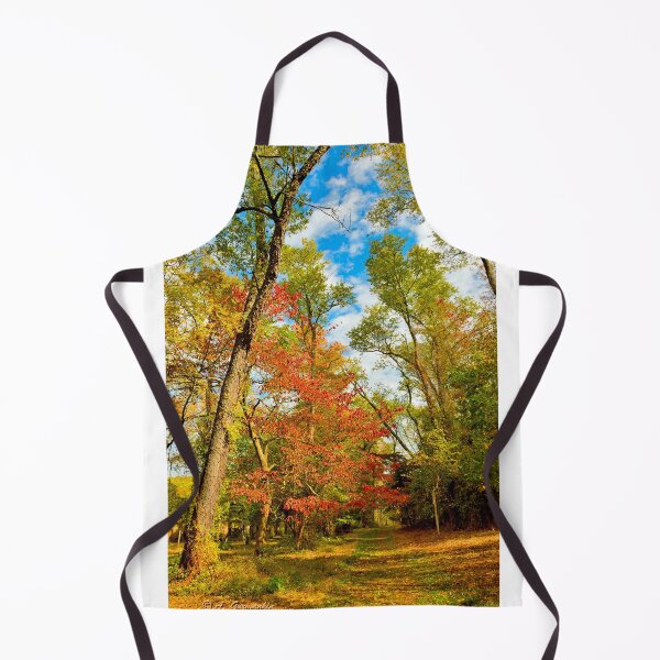 Item preview, Autumn Afternoon, Southeastern Pennsylvania designed and sold by AMacGPhilly.