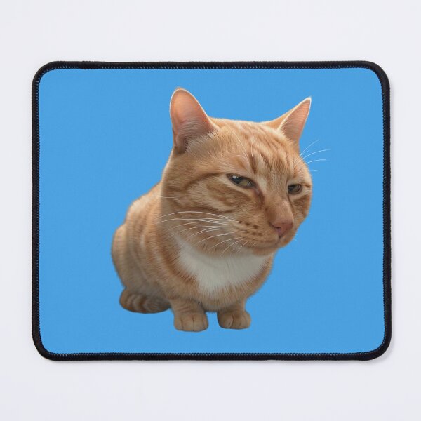 Item preview, Mr Fresh - Side Eye Cat designed and sold by Chonk Borris.