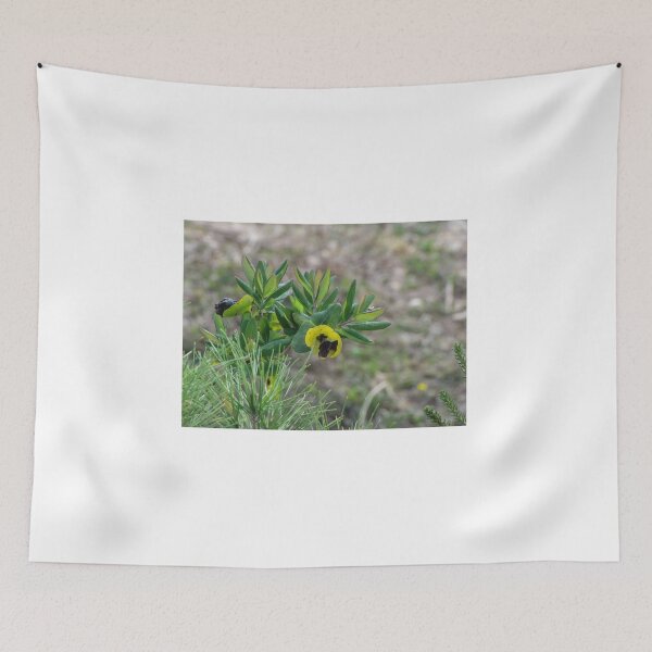 Item preview, Close-Up Of Yellow Cup Flowers And Green Shrub Leaves In Natural Outdoor Habitat designed and sold by Nmallia.