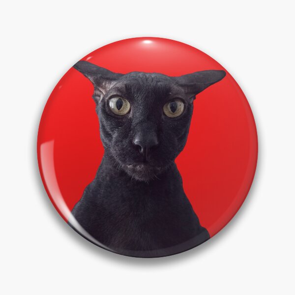 Item preview, Larry the Cat (HD) designed and sold by Chonk Borris.