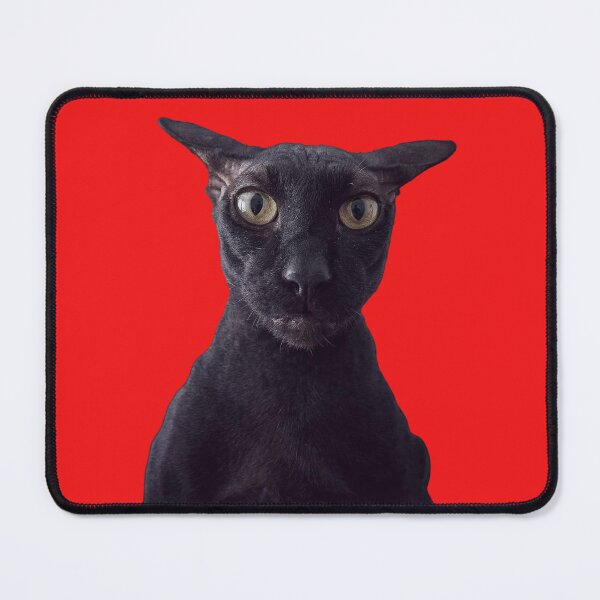 Item preview, Larry the Cat (HD) designed and sold by Chonk Borris.