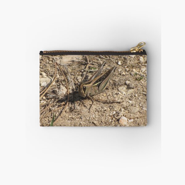 Item preview, Sunlit Close-Up Grasshopper on Dry Ground Among Rocks and Twigs in Natural Habitat Macro Photo designed and sold by Nmallia.