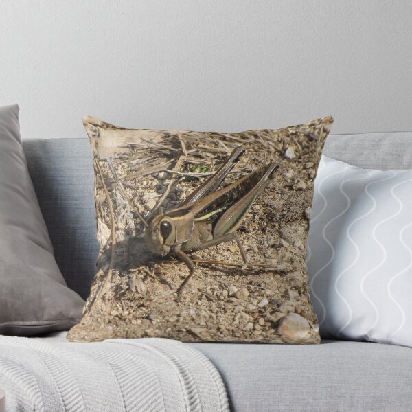 Item preview, Sunlit Close-Up Grasshopper on Dry Ground Among Rocks and Twigs in Natural Habitat Macro Photo designed and sold by Nmallia.