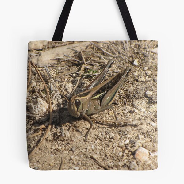 Item preview, Sunlit Close-Up Grasshopper on Dry Ground Among Rocks and Twigs in Natural Habitat Macro Photo designed and sold by Nmallia.