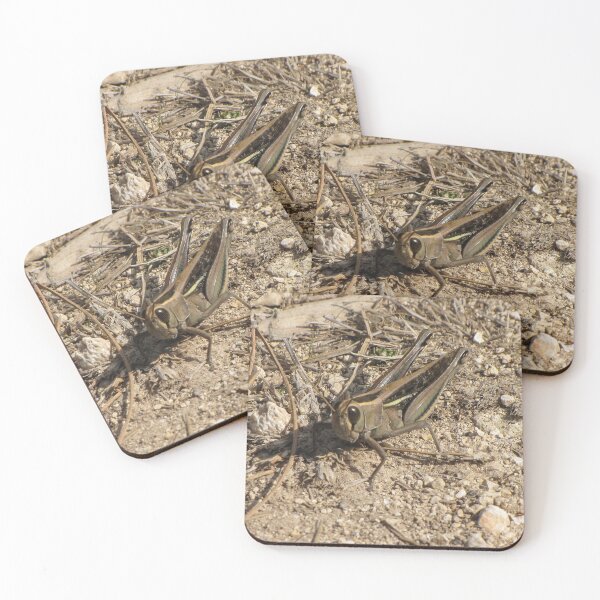 Item preview, Sunlit Close-Up Grasshopper on Dry Ground Among Rocks and Twigs in Natural Habitat Macro Photo designed and sold by Nmallia.