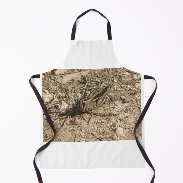 Item preview, Sunlit Close-Up Grasshopper on Dry Ground Among Rocks and Twigs in Natural Habitat Macro Photo designed and sold by Nmallia.