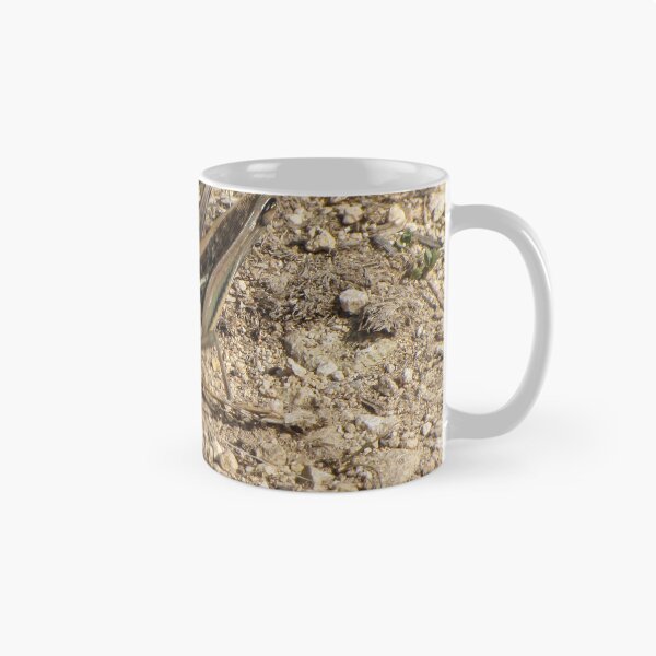 Item preview, Sunlit Close-Up Grasshopper on Dry Ground Among Rocks and Twigs in Natural Habitat Macro Photo designed and sold by Nmallia.
