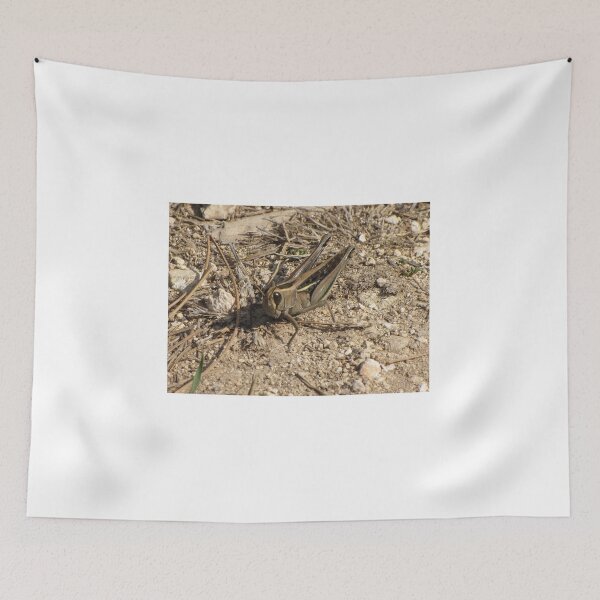 Item preview, Sunlit Close-Up Grasshopper on Dry Ground Among Rocks and Twigs in Natural Habitat Macro Photo designed and sold by Nmallia.