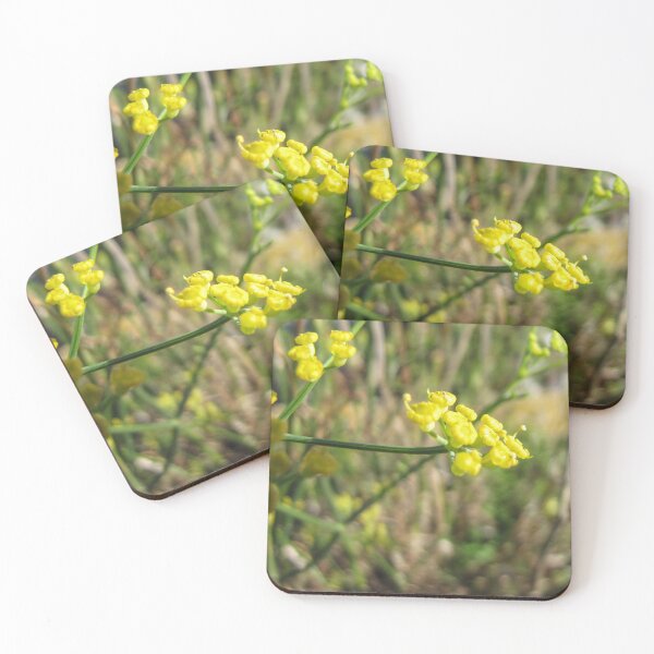 Item preview, Macro Close-Up Of Tiny Yellow Wildflowers With Green Stems And Soft Bokeh Background designed and sold by Nmallia.