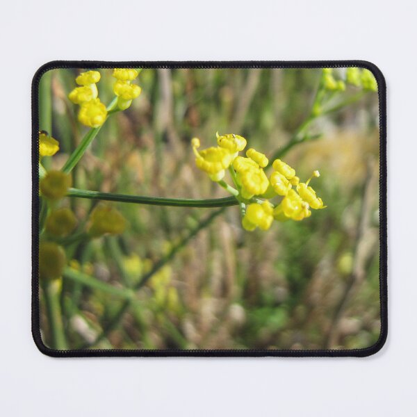 Item preview, Macro Close-Up Of Tiny Yellow Wildflowers With Green Stems And Soft Bokeh Background designed and sold by Nmallia.
