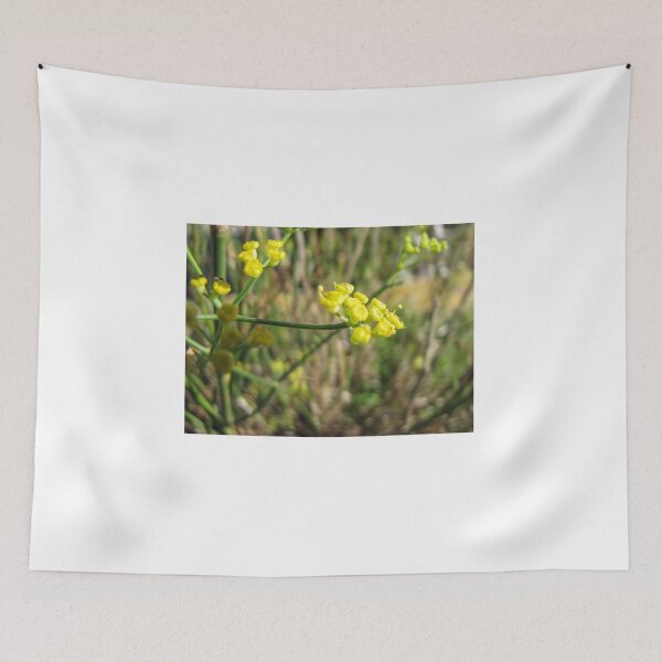 Item preview, Macro Close-Up Of Tiny Yellow Wildflowers With Green Stems And Soft Bokeh Background designed and sold by Nmallia.