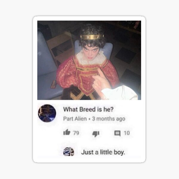 The last dinner party Abigail morris meme Sticker