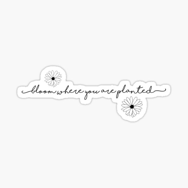 Bloom Where You're Planted Vinyl Sticker – BeKyoot