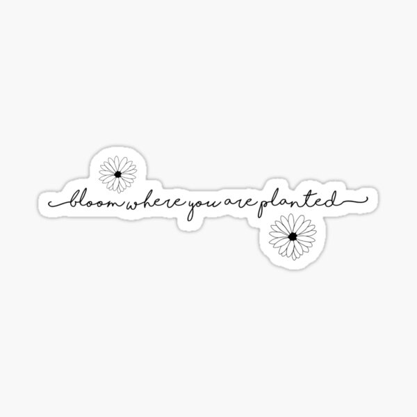 bloom where you are planted Sticker