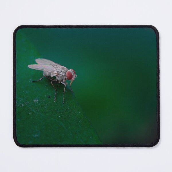 Item preview, The Red-Eyed Observer - Detailed Housefly Macro Photography designed and sold by AbulailArt.