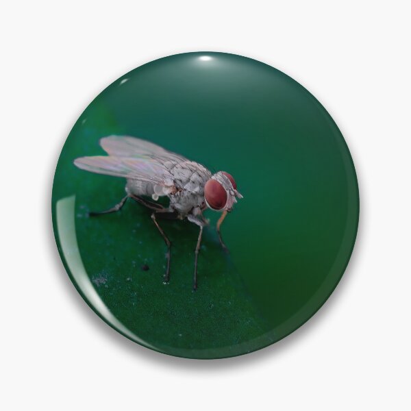 Item preview, The Red-Eyed Observer - Detailed Housefly Macro Photography designed and sold by AbulailArt.