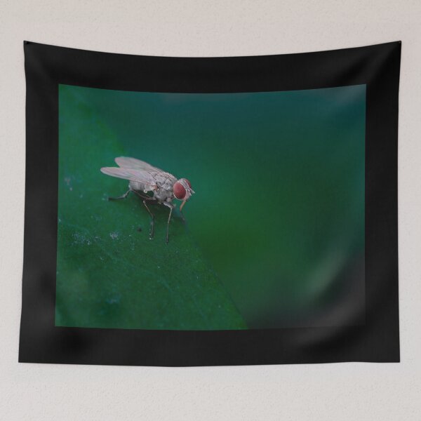 Item preview, The Red-Eyed Observer - Detailed Housefly Macro Photography designed and sold by AbulailArt.