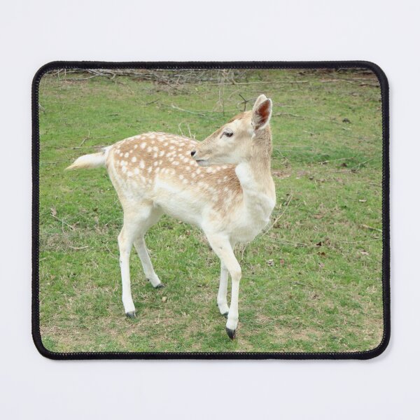 Item preview, Prancer designed and sold by Olivia Plasencia.