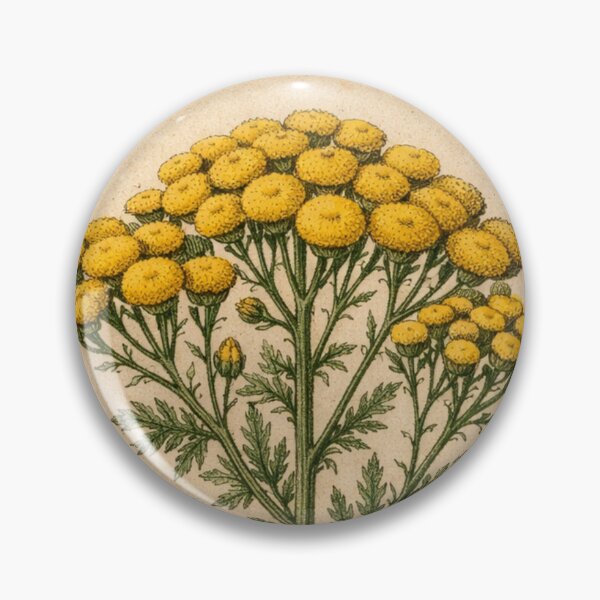 Item preview, Vintage Tansy Botanical Illustration - Tanacetum Vulgare Antique Botanical Print designed and sold by Darlin8888.
