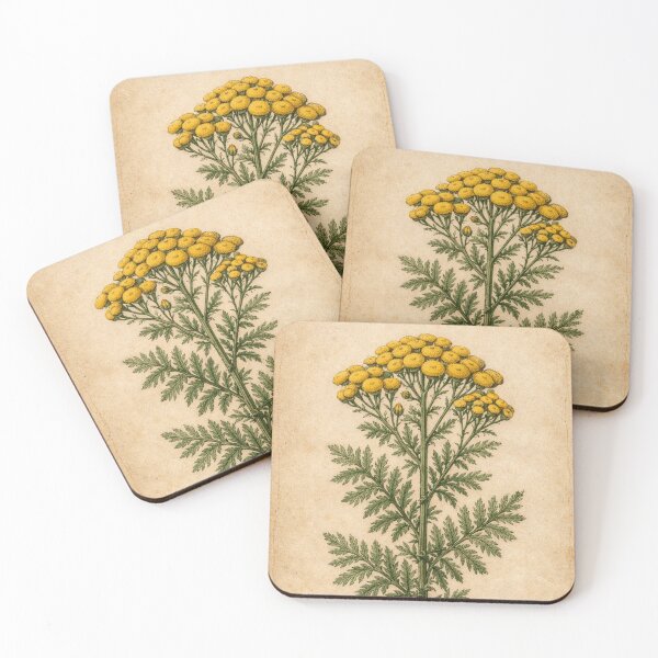 Item preview, Vintage Tansy Botanical Illustration - Tanacetum Vulgare Antique Botanical Print designed and sold by Darlin8888.