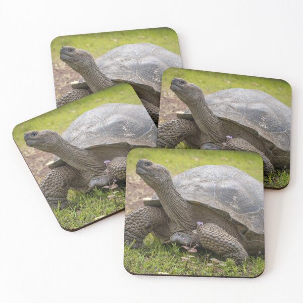 Item preview, Galapagos Giant Tortoise – Ancient Wildlife Photography Ecuador, Majestic Reptile Art designed and sold by WildFrameNature.