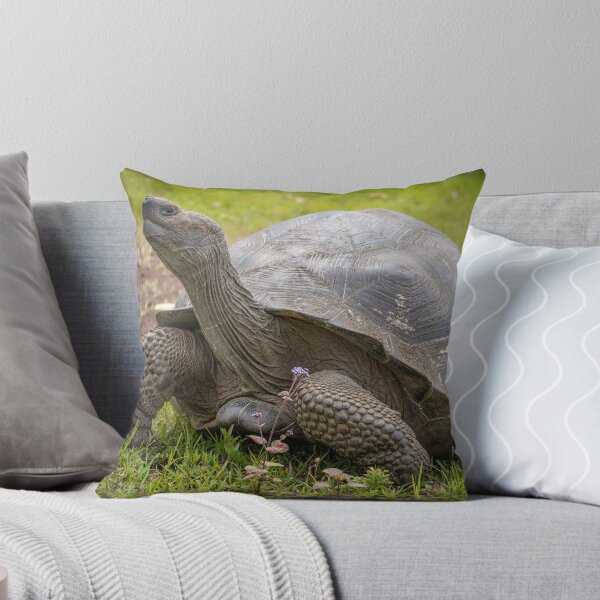 Item preview, Galapagos Giant Tortoise – Ancient Wildlife Photography Ecuador, Majestic Reptile Art designed and sold by WildFrameNature.