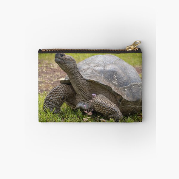 Item preview, Galapagos Giant Tortoise – Ancient Wildlife Photography Ecuador, Majestic Reptile Art designed and sold by WildFrameNature.