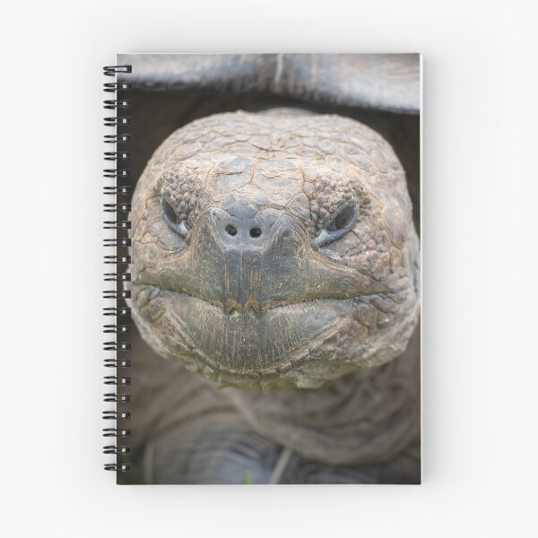 Item preview, Smiling Galapagos Giant Tortoise Close-up – Ancient Wildlife Photography Ecuador designed and sold by WildFrameNature.