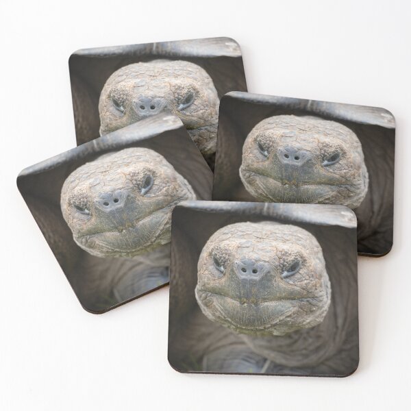 Item preview, Smiling Galapagos Giant Tortoise Close-up – Ancient Wildlife Photography Ecuador designed and sold by WildFrameNature.