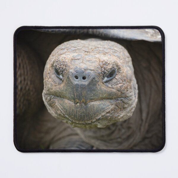 Item preview, Smiling Galapagos Giant Tortoise Close-up – Ancient Wildlife Photography Ecuador designed and sold by WildFrameNature.