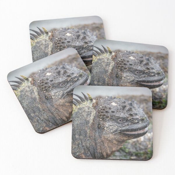 Item preview, Galapagos Marine Iguana Portrait – Prehistoric Wildlife Photography Ecuador designed and sold by WildFrameNature.