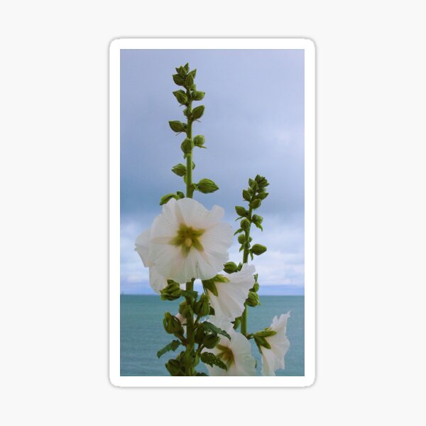 Item preview, Fleur de sel designed and sold by ART22.
