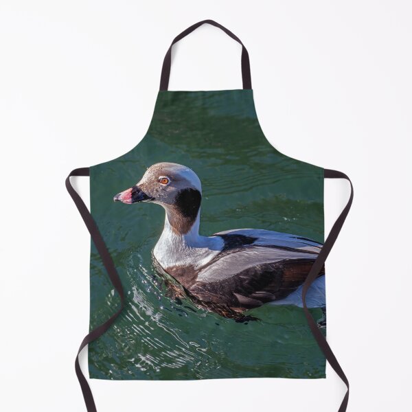 Item preview, The long-tailed duck designed and sold by Tom McPherson Photography.