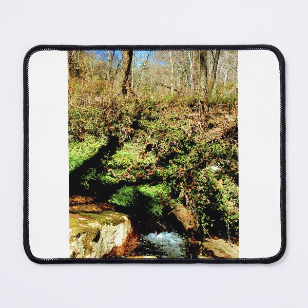 Item preview, Small Woodland Feeder Stream, Pennsylvania designed and sold by AMacGPhilly.