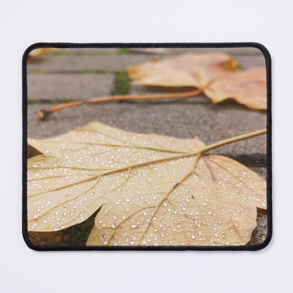 Item preview, Autumn Leaf with Dew Drops - Nostalgic Fall Nature Photography designed and sold by Kainicram.