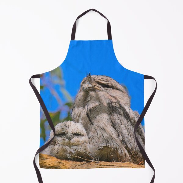 Item preview, Tawny frogmouth chick watches inquisitively while the adult watches over the chicks. designed and sold by jdrphotos.
