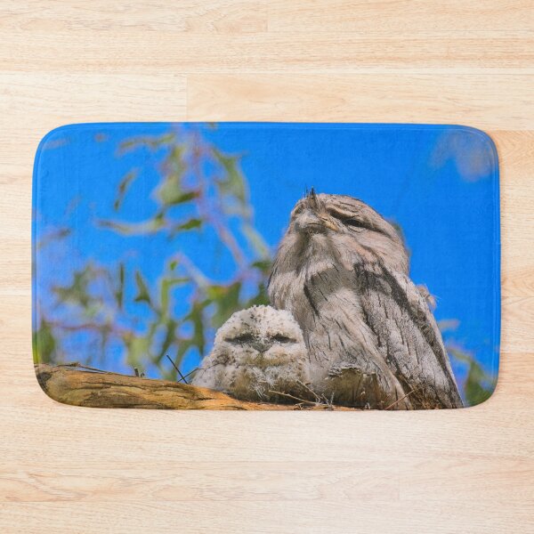 Item preview, Tawny frogmouth chick watches inquisitively while the adult watches over the chicks. designed and sold by jdrphotos.